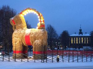 The in snow, 18 December 2014. From the