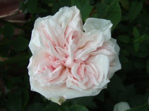 And again, in June 2007.
