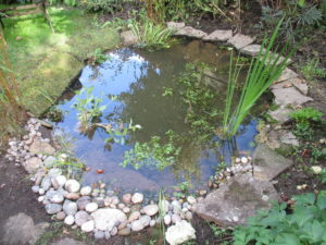 Turves laid to cover the liner.