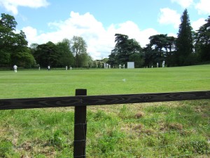Sunday cricket match at Fonthill Bishop.