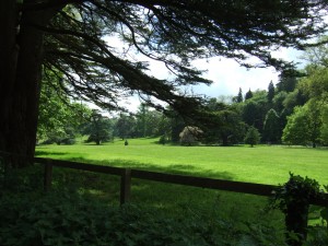 Parkland in Fonthill Estate.