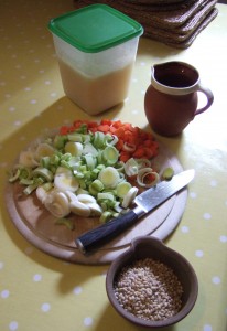 Pottage ingredients (from top to bottom): fresh homemade chicken stock, leftover homemade gravy, carrots, leeks, pearl barley.