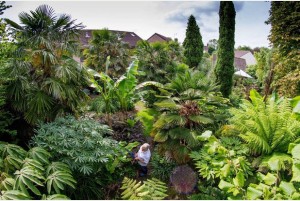 Tim Wilmot in his garden in Yate, Bristol. Photo from The Bristol Post.