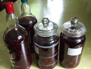 Last year's batch waiting to be strained and bottled up. Left to right: sloe vodka, sloe gin, damson vodka, damson gin.