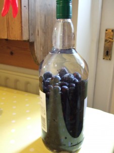 Sloes, 2 tablespoons caster sugar, and gin.