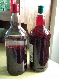 Sloe vodka made yesterday (3 September 2014) on the left, sloe gin made on 1 September on the right. I haven't shaken the vodka and you can see about 1cm of colour hovering above the sloes.