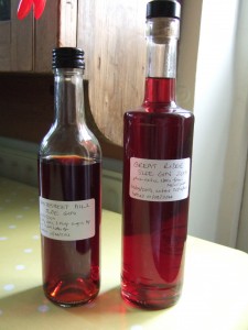 2011 and 2013 sloe gin batches. The colour deepens as the liqueur ages.