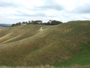 View of a rather grubby looking Cherhill White Horse from just below the Lansdowne Monument.