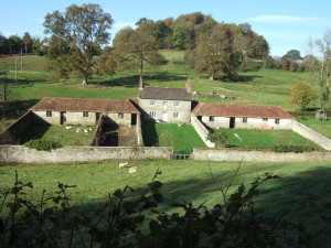 On the drive home from Stourhead, just to the south of the estate: fantastic little estate smallholding, with outbuildings for livestock. We could see geese, ducks and guinea fowl!