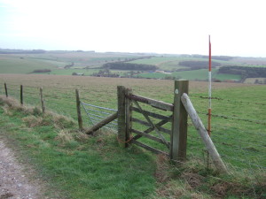 The abandoned ranging rod. Note the bottom hinge on the gate made of the farmer's best friend, baler twine.