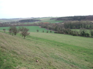 Looking eastwards from the lower slopes of Cold Kitchen Hill, looking up the valley towards Monkton Deverill. 