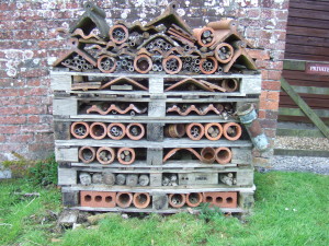 A wonderful bee, insect and other critter hotel made out of pallets, old terracotta roof tiles and ridge tiles and bamboo, among other things.