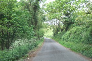 The road down into Tyneham.