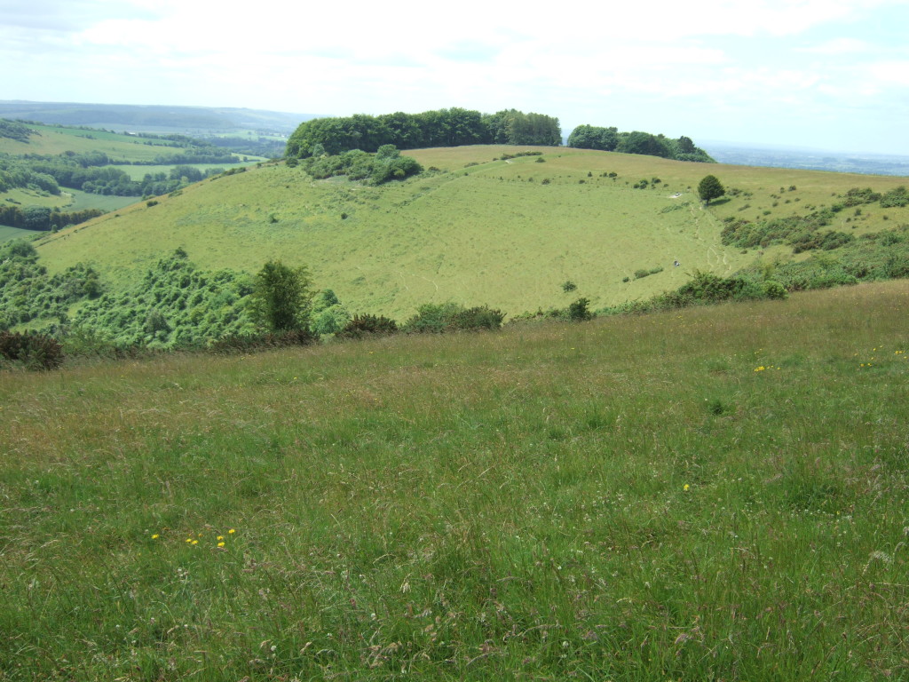 The spur of Fontmell Down, part of the chalk downland above the Blackmore Vale in Dorset.