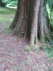 Scottish fairy door in a Western Red Cedar at the Larmer Tree Gardens.