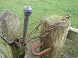 Lovely old gate furniture.