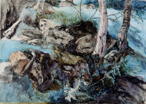 John Ruskin. Rocks and Ferns in a Wood at Crossmount. 1847. Perthshire. Pencil, ink, watercolour and bodycolour, 32.3 x 46.5 cm