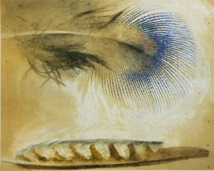 John Ruskin. Study of a peacock feather and another feather.