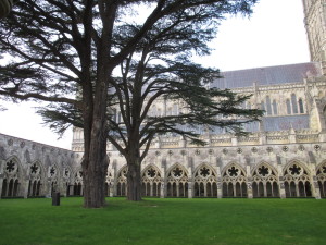 Two Cedars of Lebanon in the Cloisters.