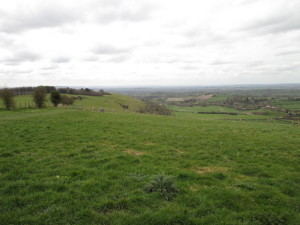 Fontmell Down Nature Reserve on a very blustery spring day.