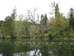 Bitham Lake.