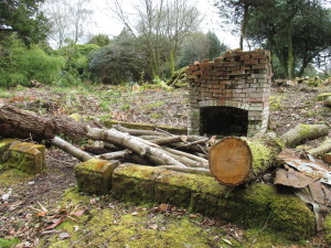 Ruined small building in the woods.