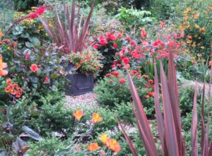 Part of a cottage front garden that I designed in Berkshire.