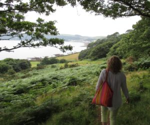 First sight of Kingsand / Cawsand.