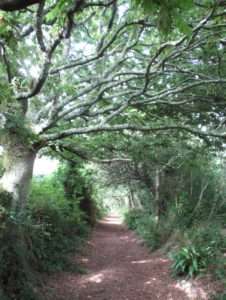 Beautiful footpath walk out of Kingsand.