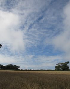 Big skies.