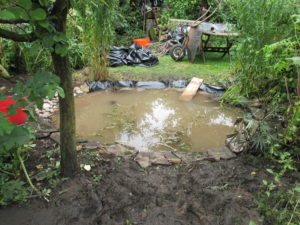 Sludgey silt in the foreground.