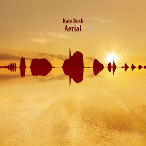 The cover of Aerial by Kate bush, featuring the waveform of a blackbird's song.